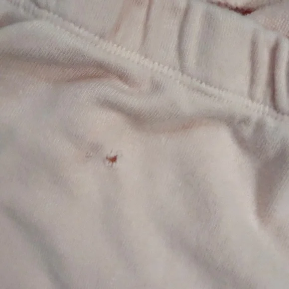 Wildfox Joggers Pink Leopard Print - Picture 9 of 9